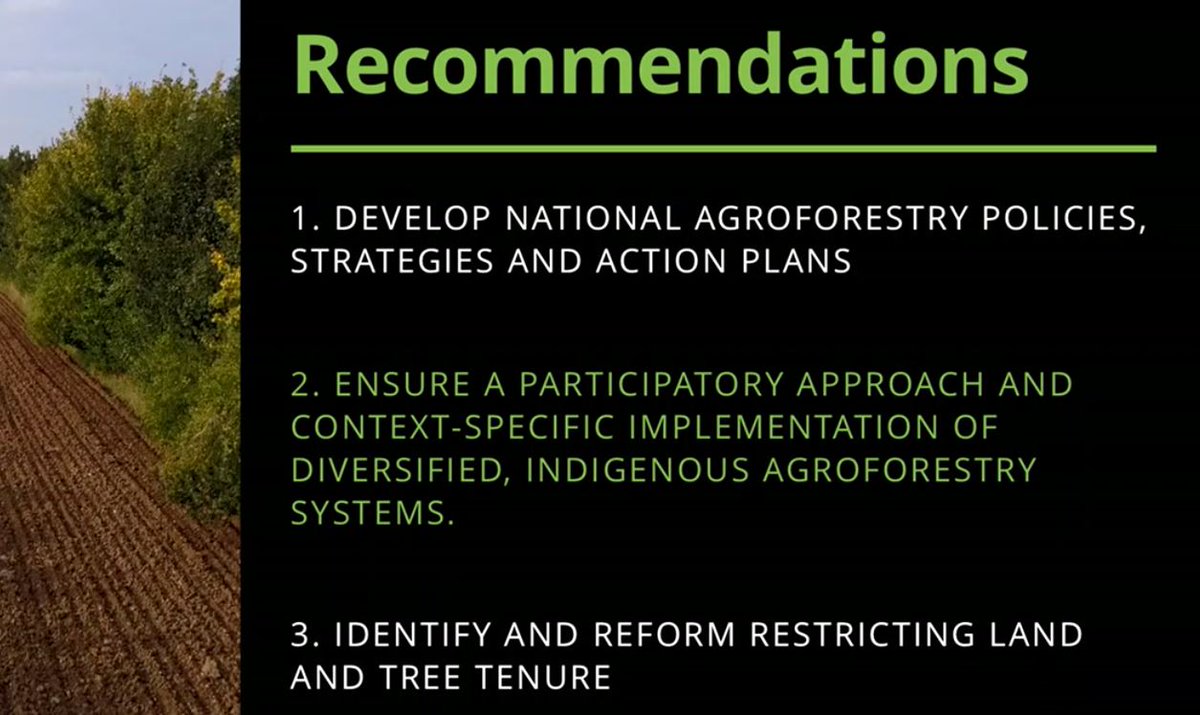 A selection of #recommendations from the policy brief. After the launch the brief will be posted on agroforestrynetwork.org #Agroforestry #scalingup