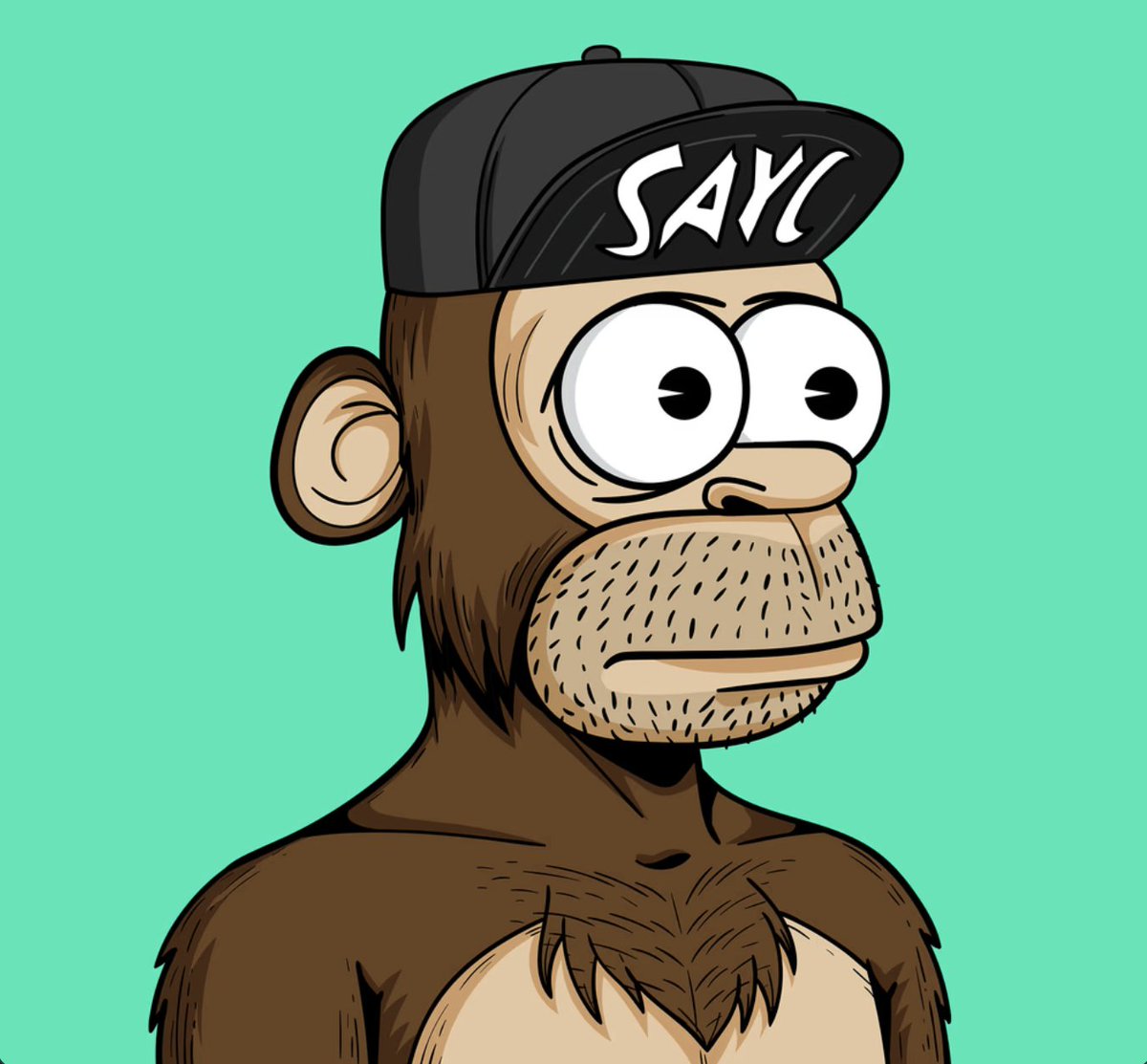 Simp Ape Yacht Club tweet media