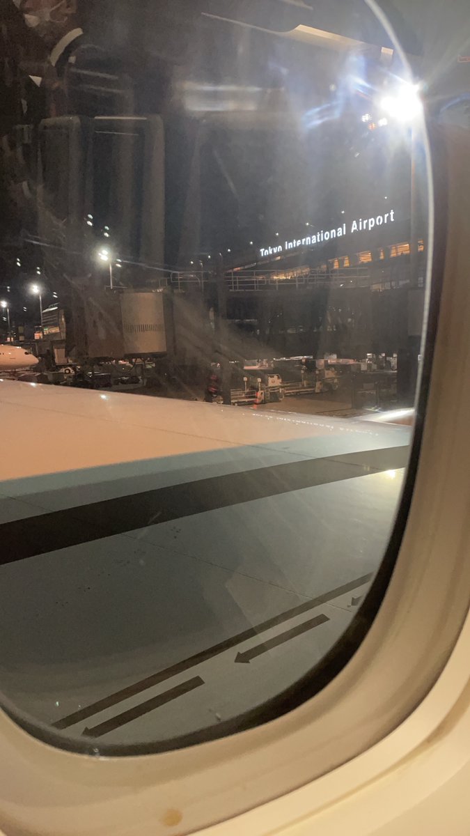 issei_ishida990's tweet photo. おんぼーど🤎 #memoraD6 #TurkishAirlines https://t.co/UmZdycOsA7