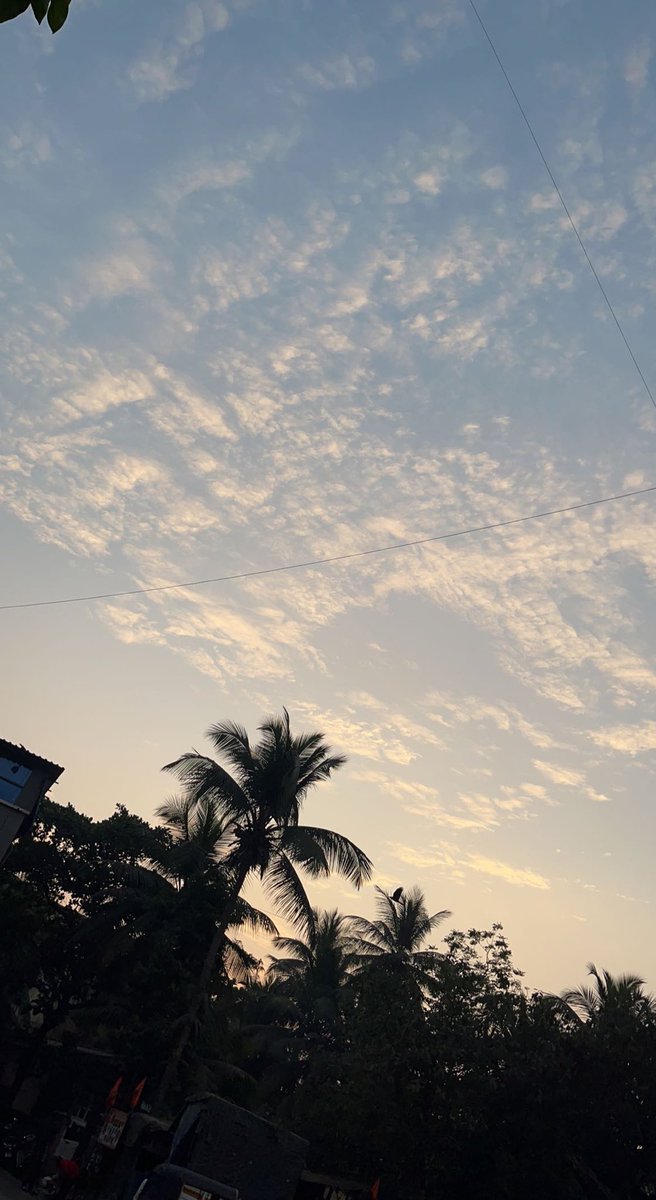 kashidvishal12's tweet image. The sky is always there for me.🫶🏻🕊️

#Sky #activeagain