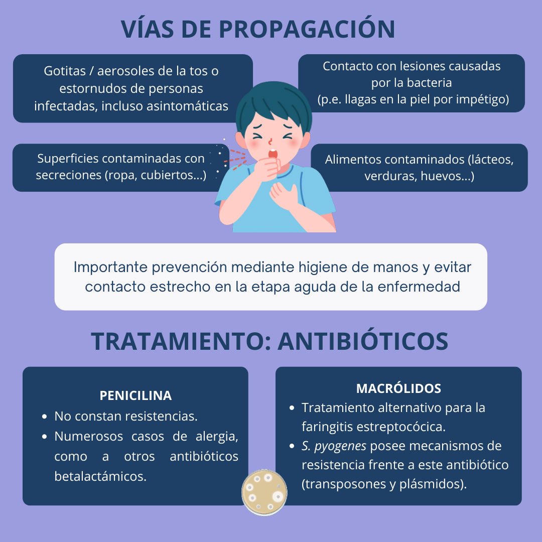 BiotecMur tweet media