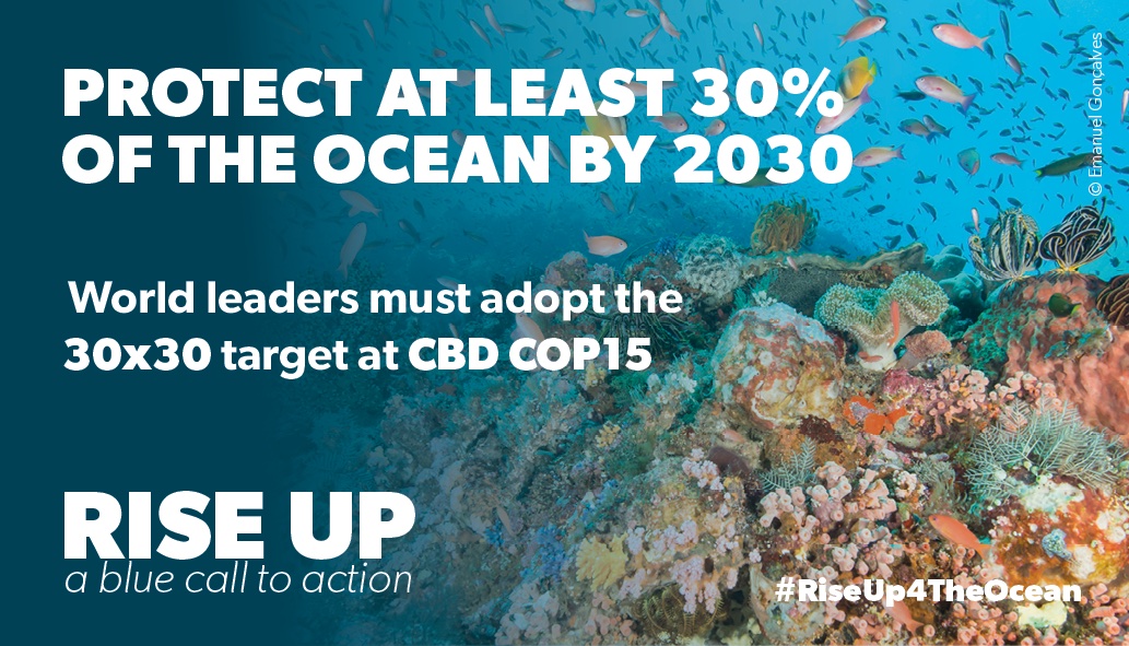 now_ocean's tweet photo. #COP15 must adopt @UNOceanDecade's #30x30 goal: a global network of effective #MPAs and Indigenous Peoples &amp; Local Community #IPLCs conserved areas to provide climate, food security, livelihood and #biodiversity benefits. 🌍

#RiseUp4TheOcean #BlueCallToAction #CBD15 https://t.co/pCqKammFAc
