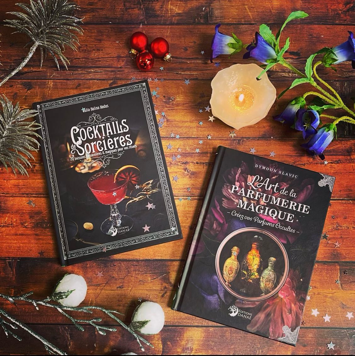 Nous avons le plaisir de vous présenter nos deux nouvelles pépites aux éditions Danaé !! 🥰✨
Disponibles en librairies ❣️