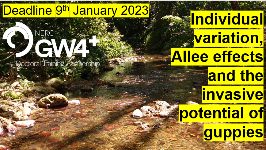 C_C_Ioannou's tweet photo. Our #fishsci @GW4plusDTP @BristolBioSci project is looking for applicants now! With @amy_e_deacon, Martin Genner and Sasha Dall
https://t.co/9YJp7qS4Hx
Please RT and forward to those looking for a PhD, especially from underrepresented groups
@AnimalOpps https://t.co/7hiFbpz5N4