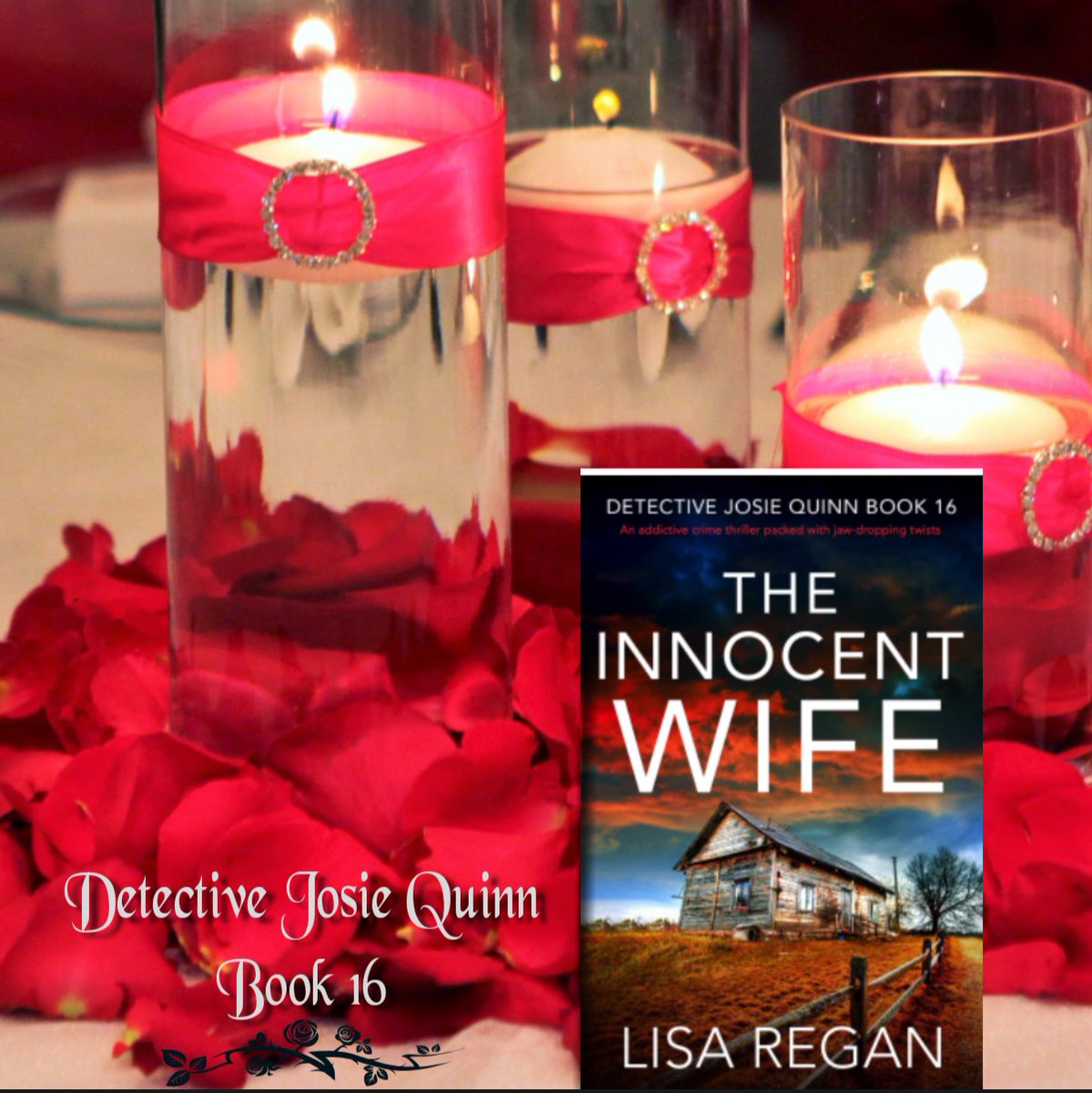 JonannBook's tweet photo. This is one of the most memorable Josie Quinn novels to date by Lisa Regan. I enjoyed every page! Lisa has written 16 books in this series, and they are all fantastic! You can read them as a stand-alone, but once you begin one, you will want to read them all.

#TheInnocentWife https://t.co/F07CYNfmuX