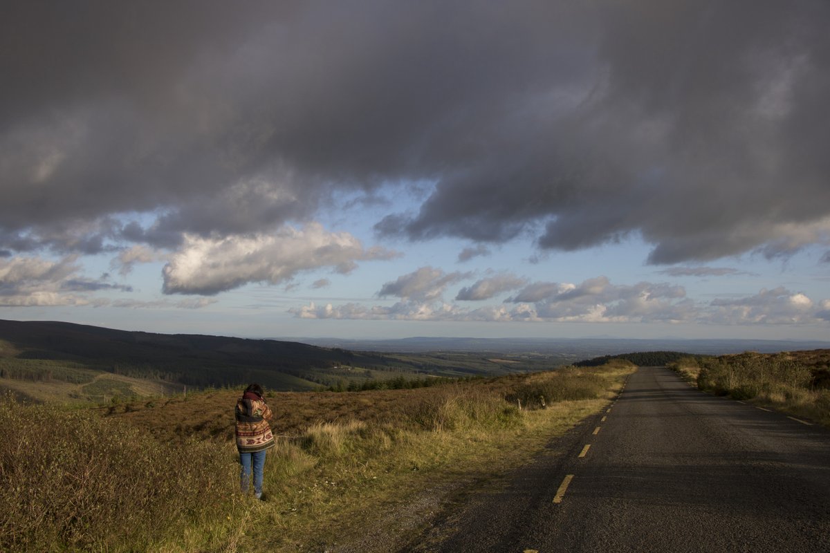 Laois Tourism tweet media