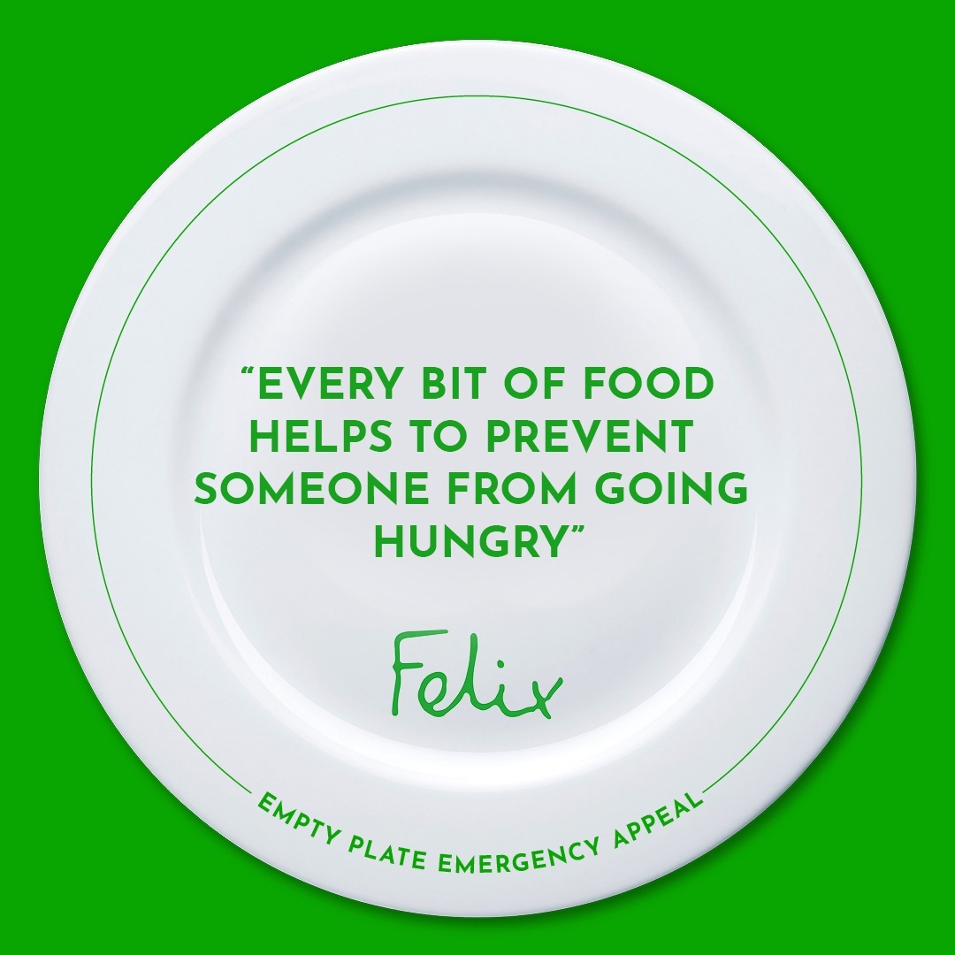 thefelixproject tweet media