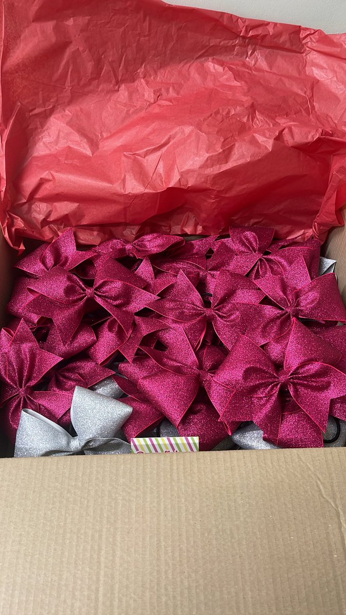 runningdeputy33's tweet photo. An exciting delivery today for our @SHSInfantJunior cheer teams ready for Movement Evening! #sparkle #pizzaz #steelqueens #steellegends https://t.co/OShV4ub1rm