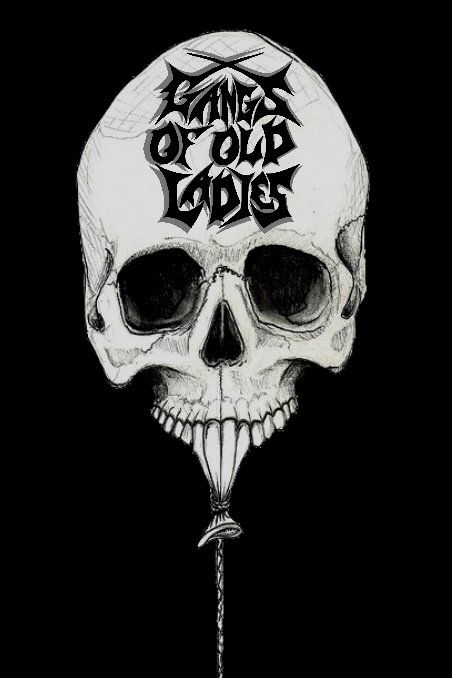 Gangs of Old Ladies tweet media