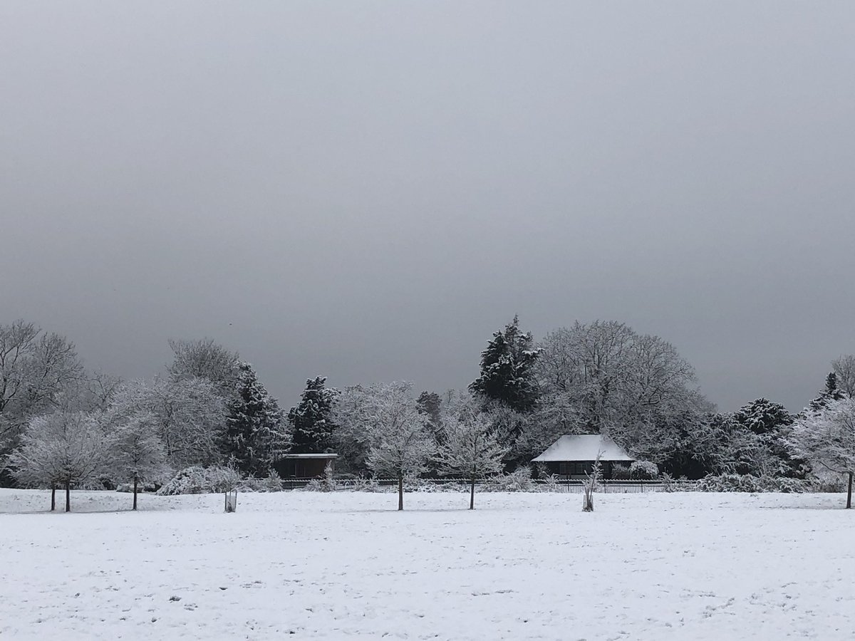 Snow Day in Dulwich Park this morning. @DulwichPark