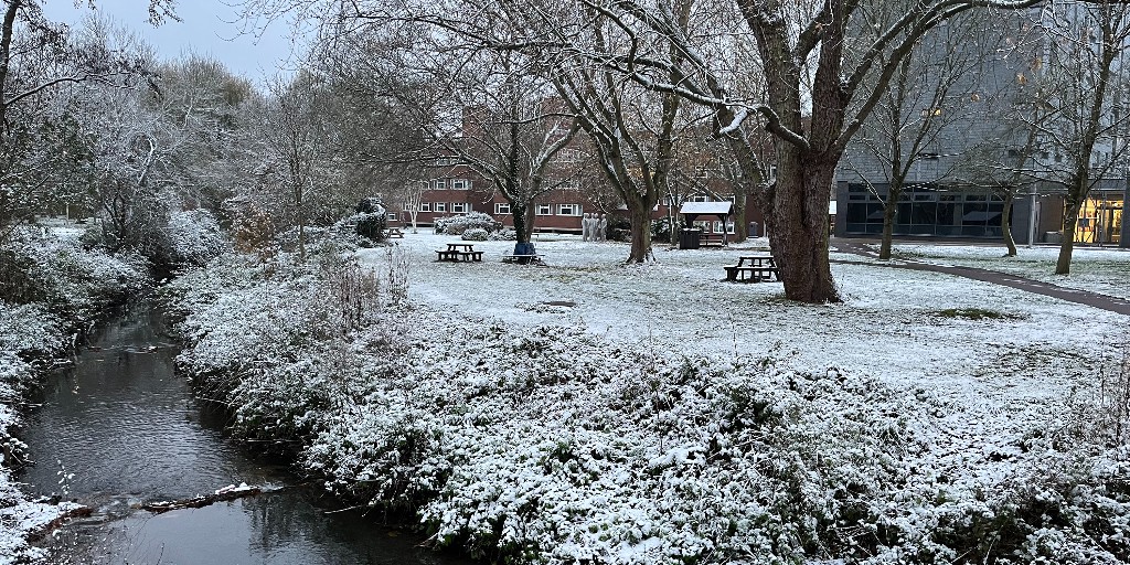 ❄️Who knew our campus could look so picturesque in the #winter? We're getting some serious #winterwonderland vibes! ☃️

#snowday #campus #bruneluniversity