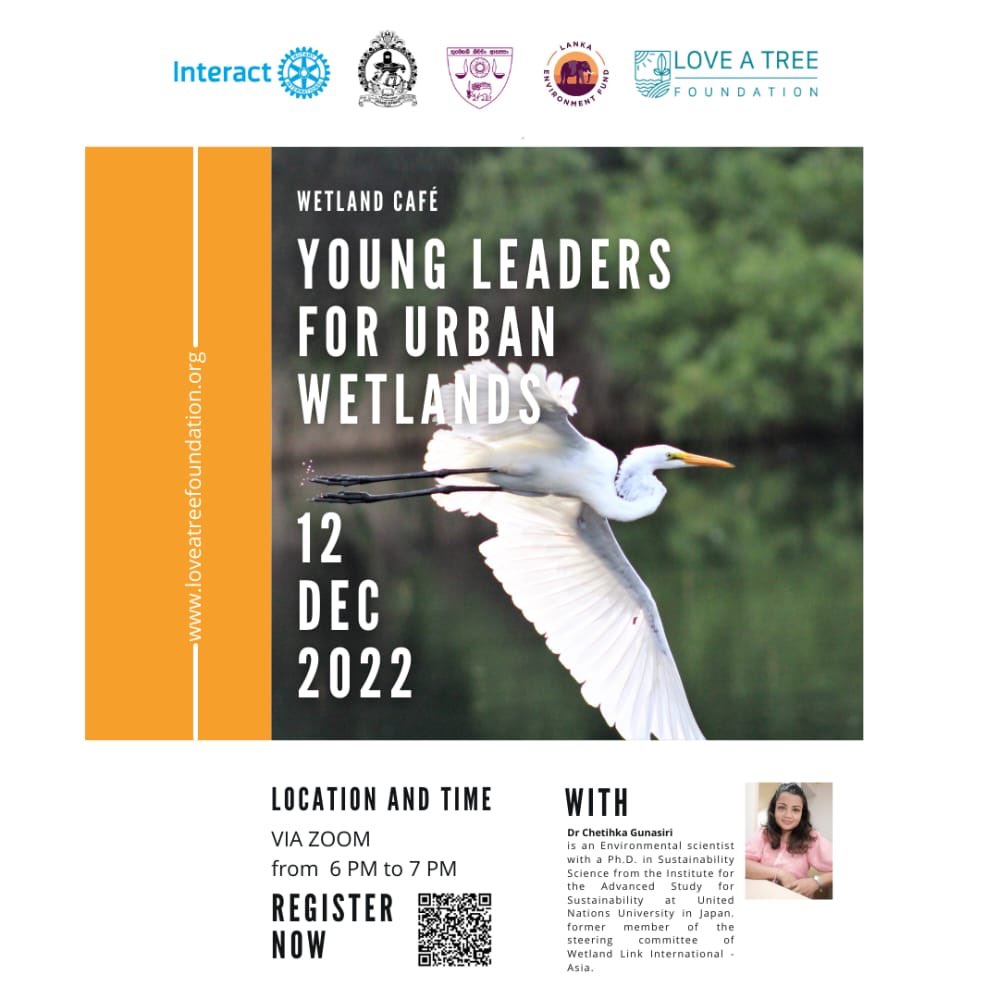 Joining us today for the Wetland Café ,l! Interact Clubs of Dharmapala Vidyalaya Pannipitiya and Hindu College Colombo 🤩 

Super excited for another amazing wetland Café with our young leaders !   

Supported by @lankaenvirofund  

#urbanwetlands #wetlandconservation