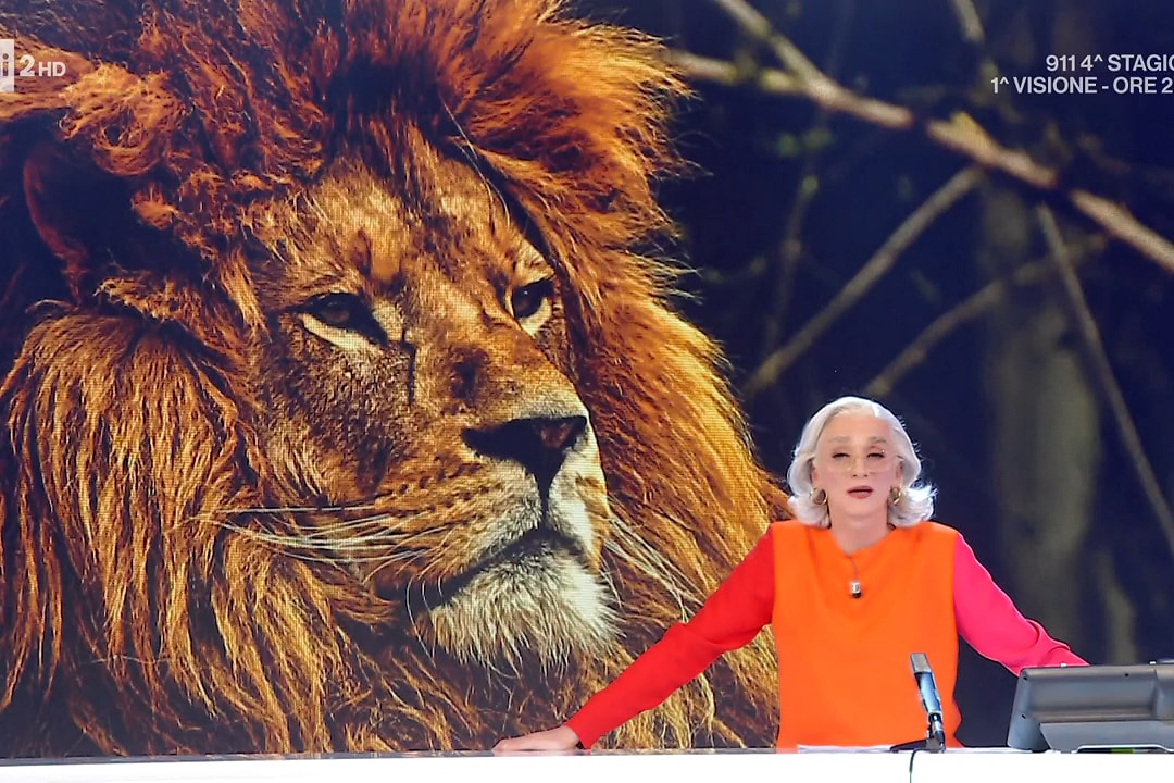 🟠Il riscontro positivo della prima edizione, riporta, nel preserale di #Rai2, la simpatia di Drusilla Foer. 

#Lalmanaccodelgiornodopo, da stasera alle 19:50.