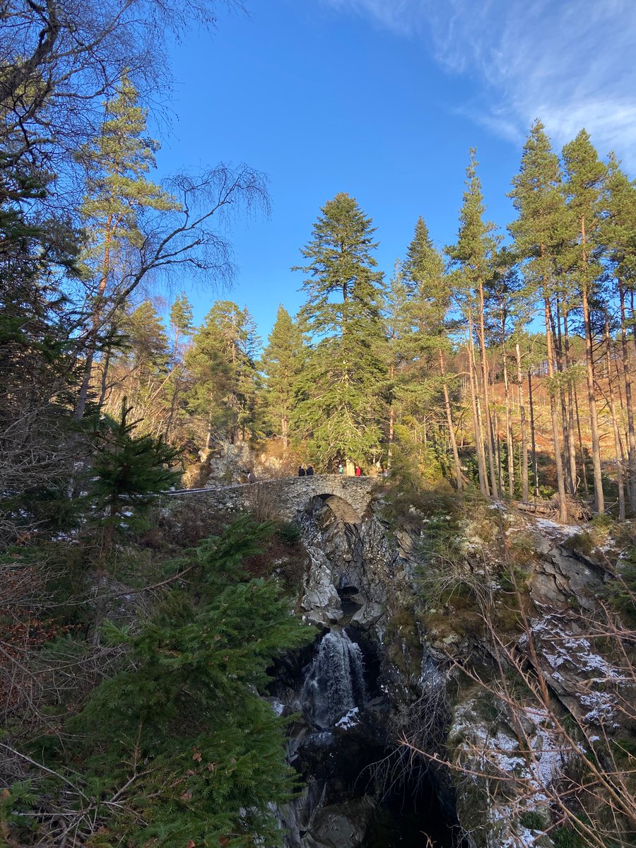 Rachel Meach tweet media