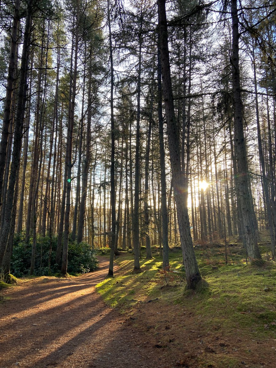 Rachel Meach tweet media