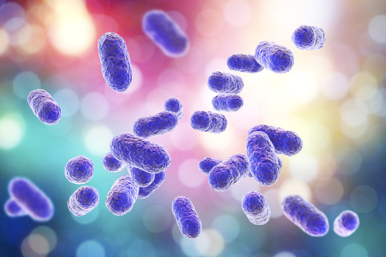 MulSclerosis's tweet photo. Dozens of gut bacteria associated with multiple sclerosis – Patient Talk https://t.co/lRPziZxLbJ https://t.co/AfcrCUC7z9
