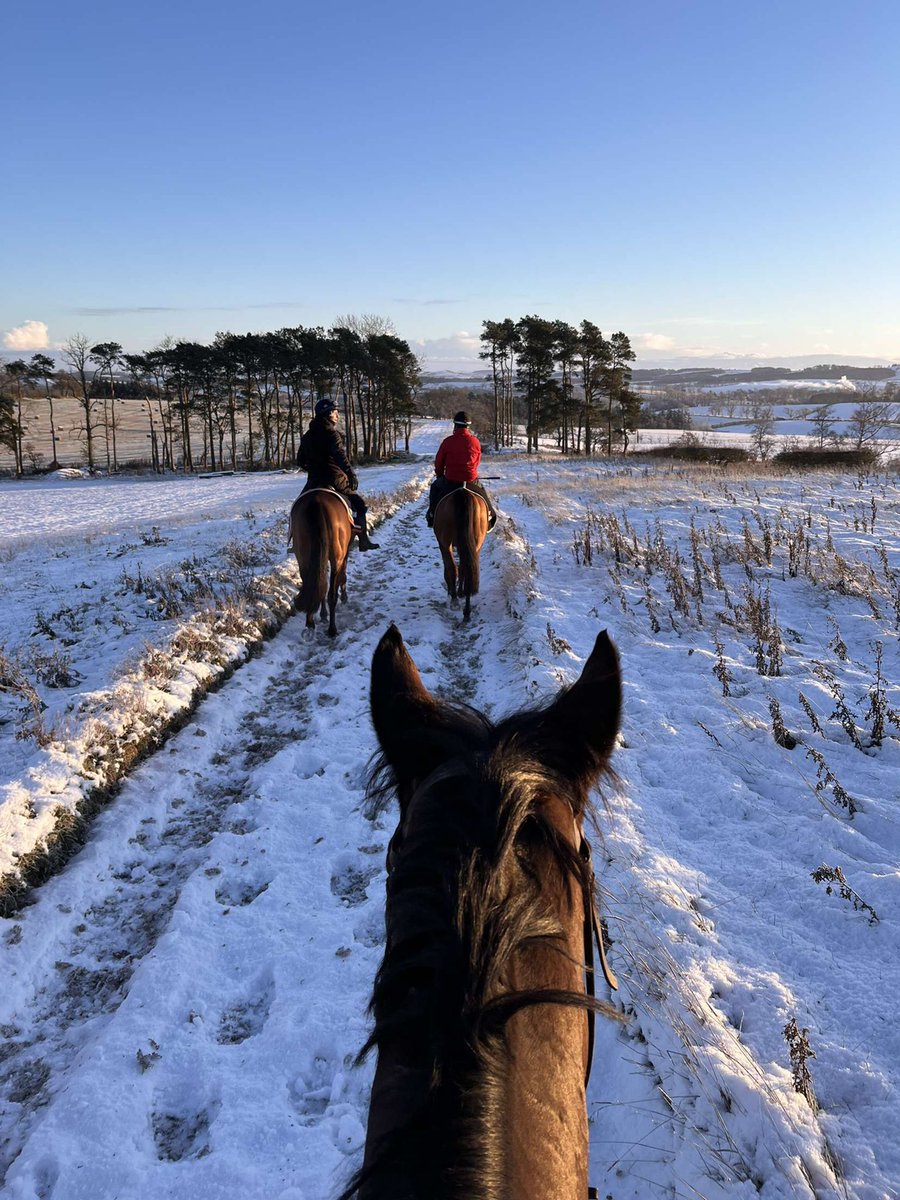 ScottishRacing's tweet photo. There’s snowplace like home ☃️🏇❄️
📍 @JStephenRacing
#snowday #wintersunshine #Scotland #visitscotland #racinginscotland #theheartofracing #scottishracing https://t.co/vHloDoKeAf