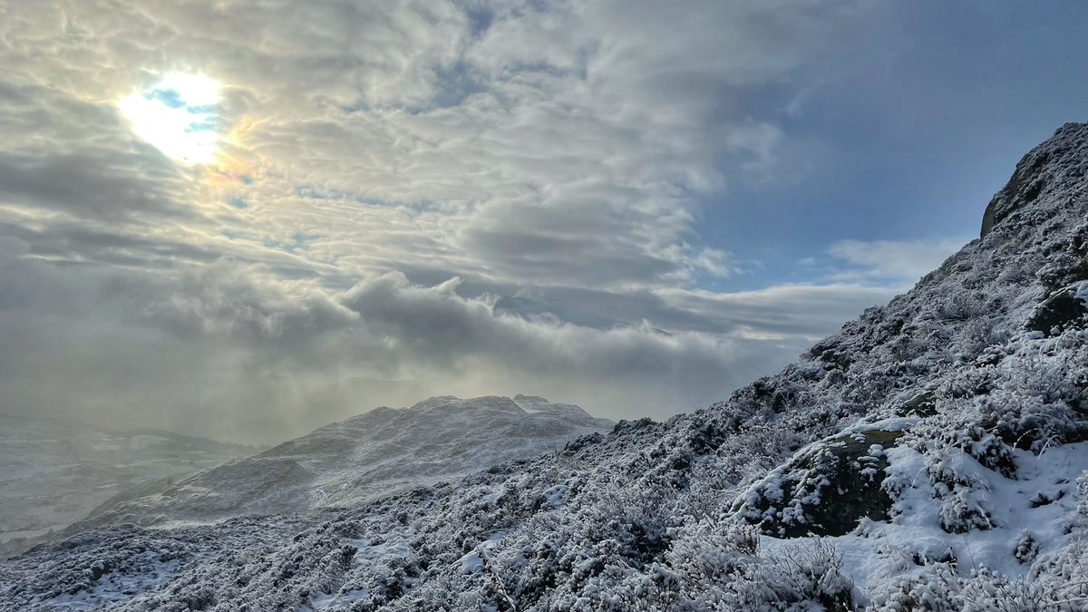 Lisa, The Beast & Billy tweet media