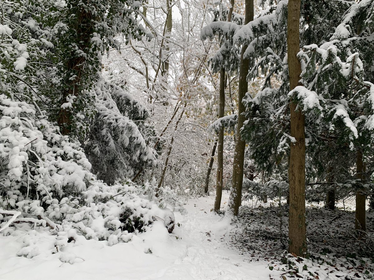 It’s not often the school run can be done on a sledge… memorable morning! 🤪👍