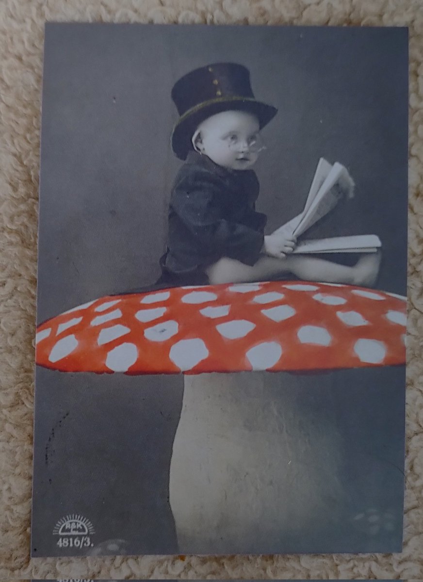 MajaKn's tweet photo. I got this replica of a charming Christmas card from cca 1913 free with a newspaper and I'm treasuring it. @weird_christmas https://t.co/7cbtqYAQM8