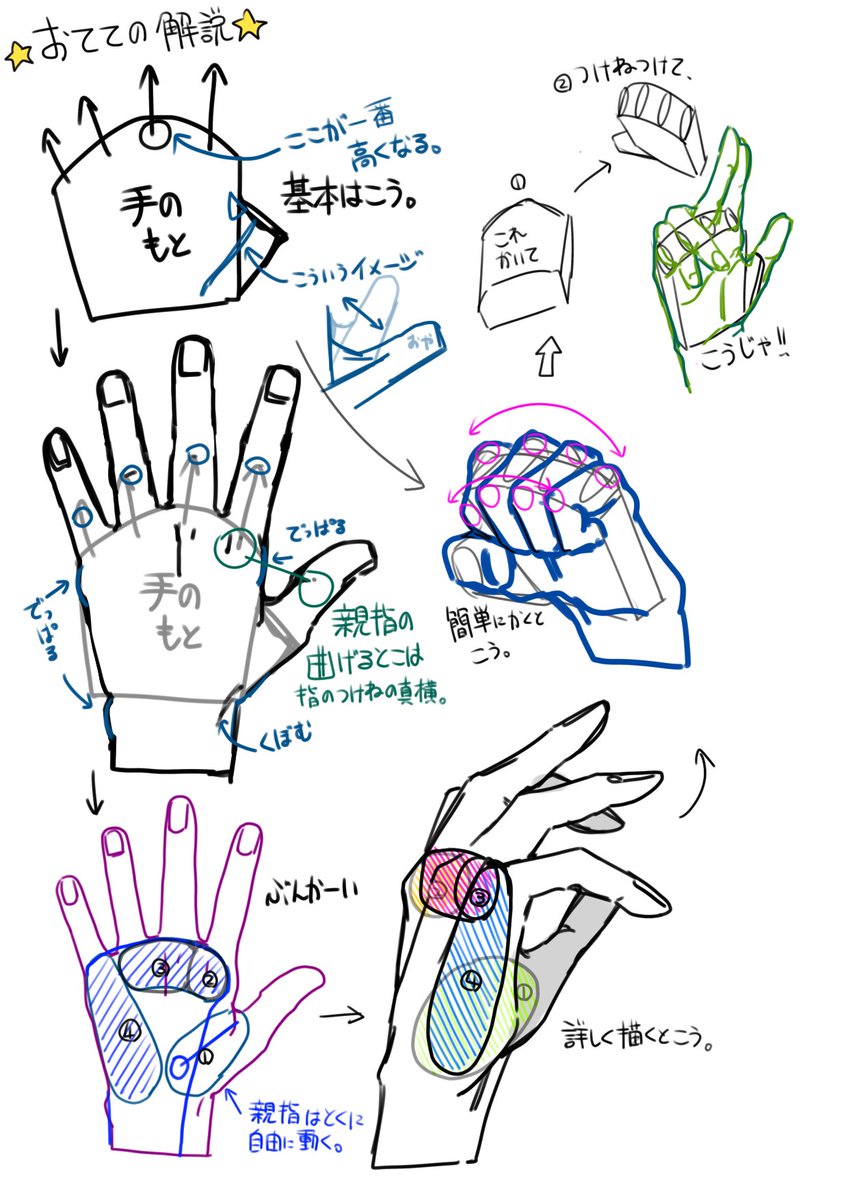 手の描き方メモ(雑) https://t.co/D1GMWTv9YK 