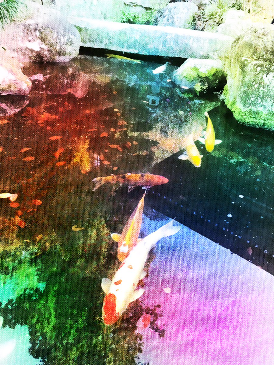 IYOI_MIYAJIMA's tweet photo. NFT Digital art Koi 鯉 #22
my collection⤵️
https://t.co/UzprNsyX5p…

#NFT #OpenSea #ART  #creator #nftcollector #investment #Investor #ETH #ethereum #NFTs #web3 #designart #nftdigitalart #Metavers #NFTart #nftartist #nftcollection #collaboration 
#coolicon https://t.co/aiOh4gc9Sb