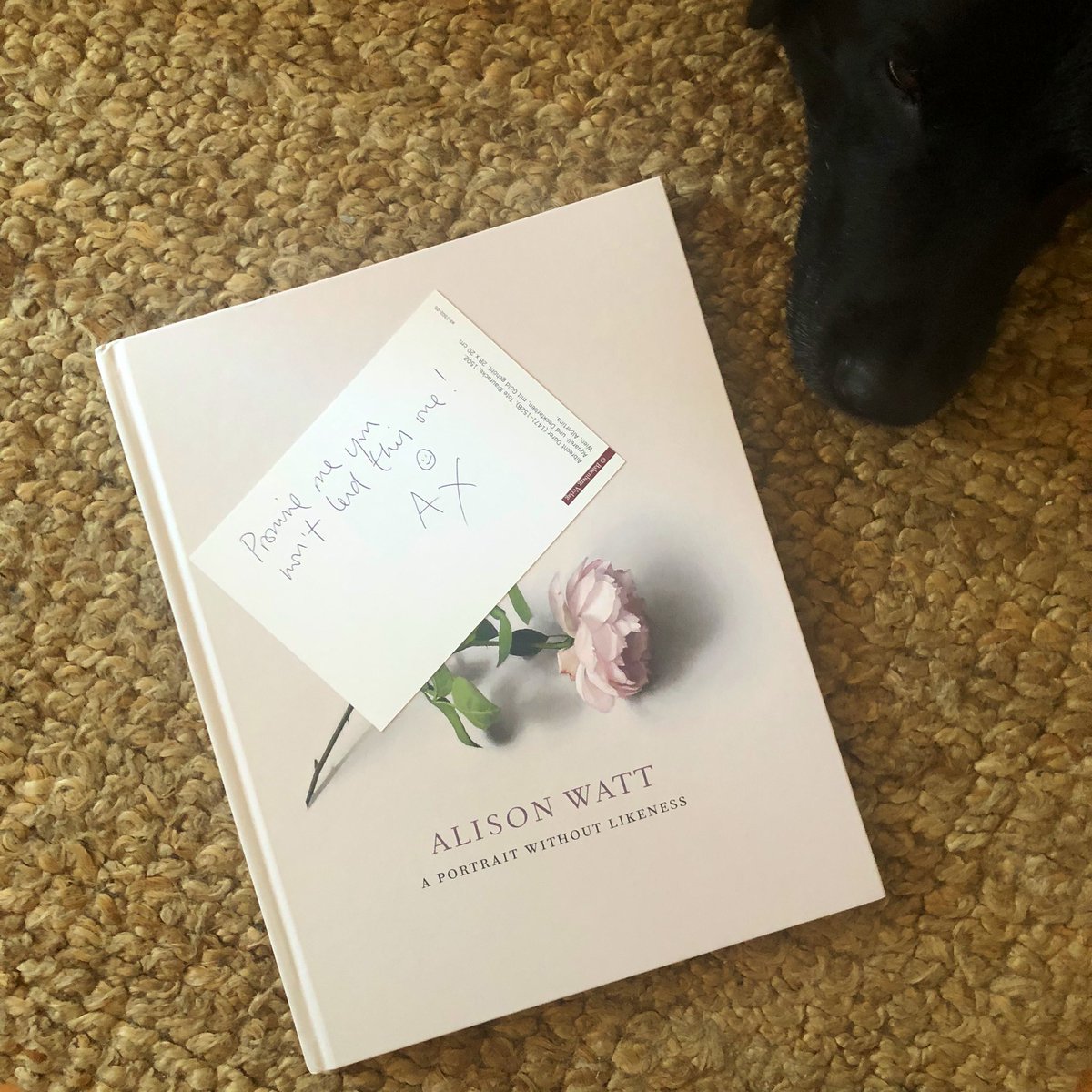 JanPatience's tweet photo. I promise @alisonjfwatt x
P.S. Thank you. https://t.co/2hquh4wCOB
