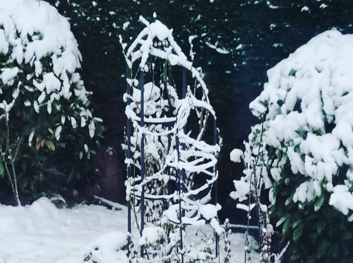 BasilLivanos's tweet photo. #snow #snowday #itsbeginningtolookalotlikechristmas #christmas #white #whitechristmas #xmas #XMAS2022 https://t.co/TGjhM2ar1M