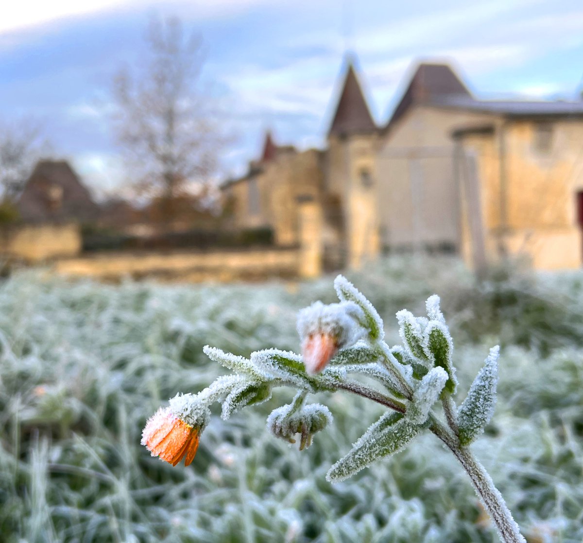 Hoe koud het ook wordt, 
er wacht altijd een nieuwe lente.