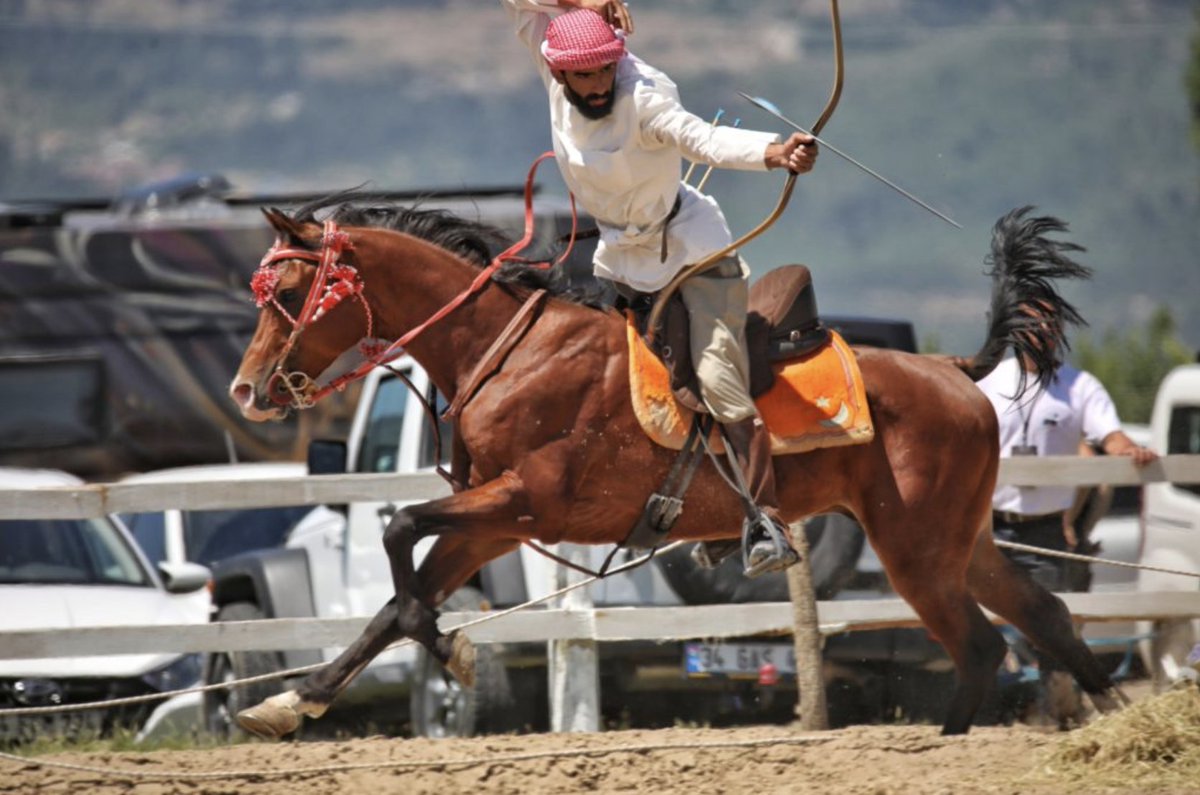 Bow International tweet media