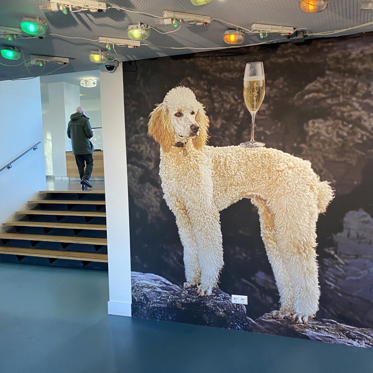 ChantalRens's tweet photo. Happy to share: Cheers! @Fotomuseum Den Haag • Dec 9 — Jan 22 2023 
exhibition in the lounge of the museum with blowups from the series YOU RUN AROUND TOWN LIKE A FOOL AND YOU THINK THAT IT’S GROOVY as well as a selection of printed matter #fotomuseumdenhaag #chantalrens https://t.co/QUUGwo6qI0