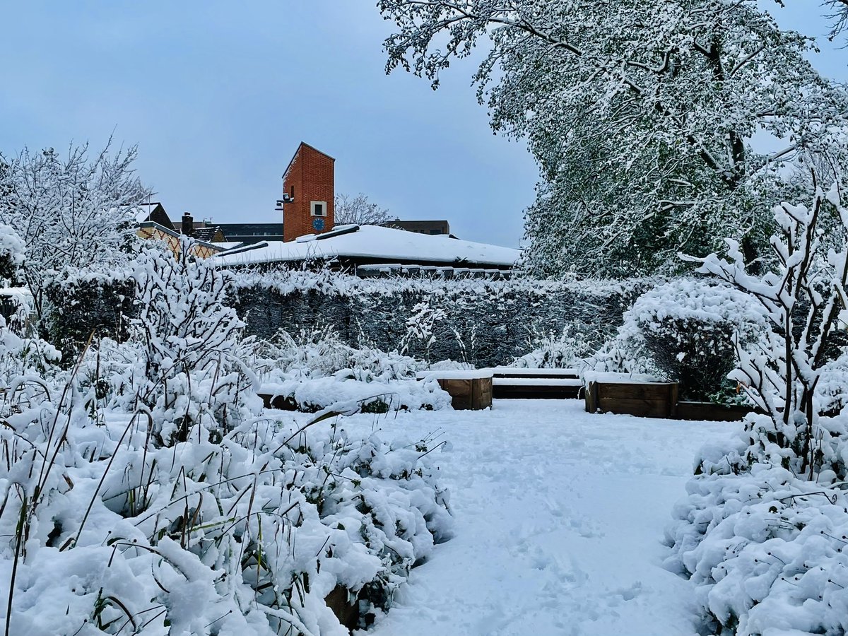 Rob Trimble tweet media