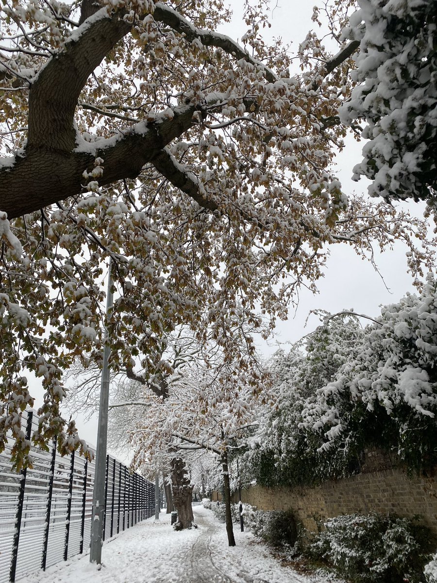 So cold. So pretty!