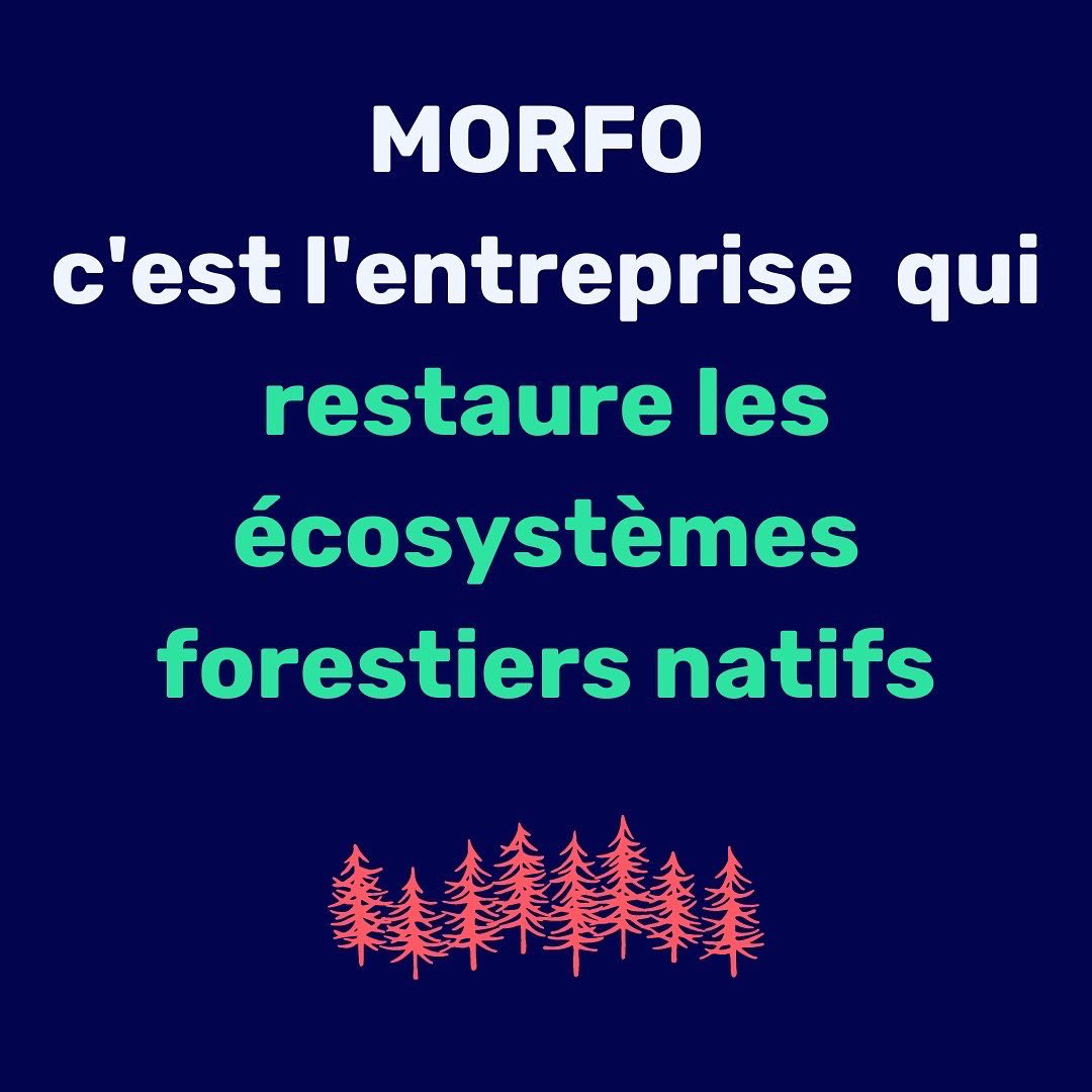 Teampact tweet media