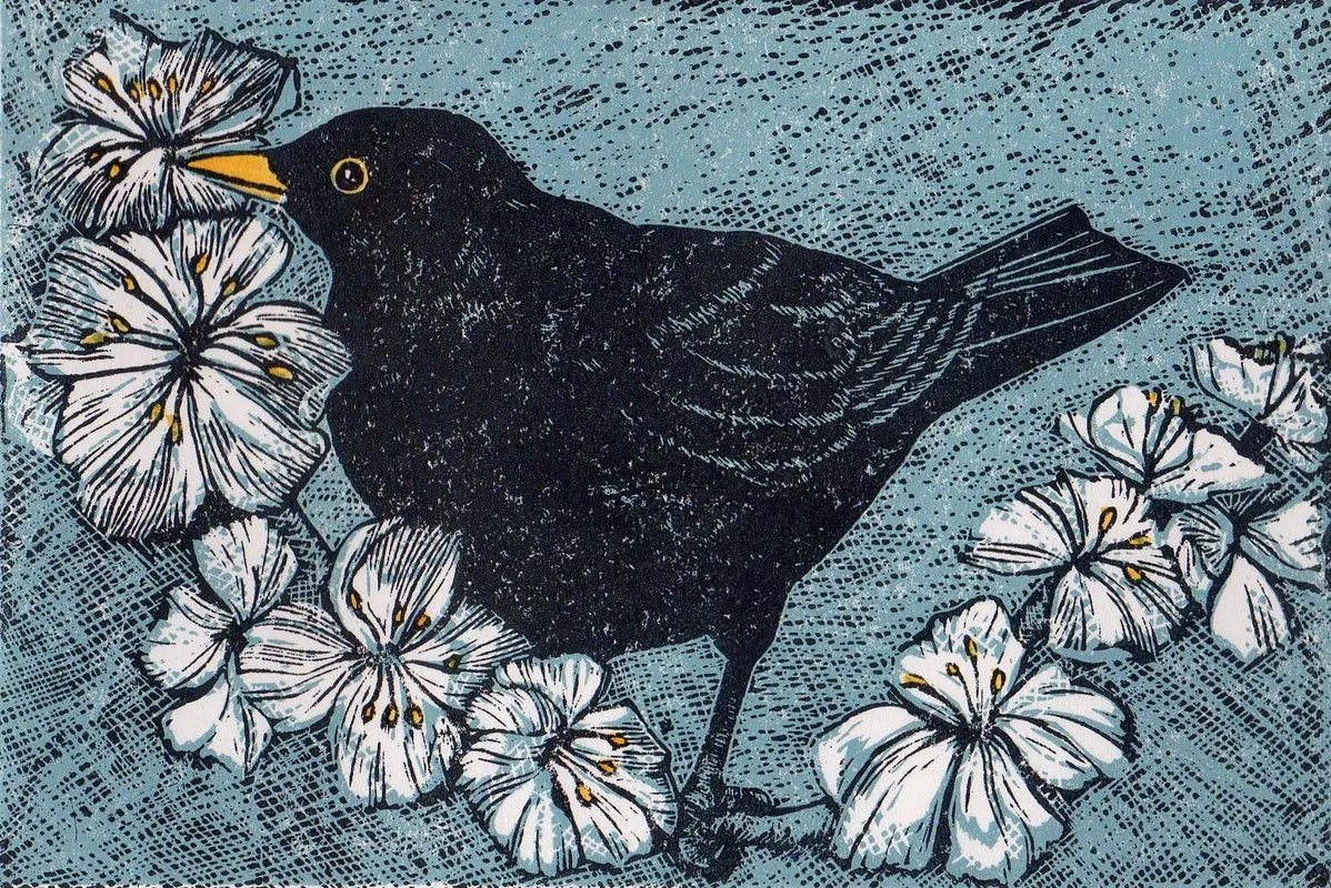The Celtic goddess Rhiannon has three magical blackbirds, whose singing imparts the mystic secrets of the Otherworld &amp; lulls the living to sleep so they can journey in trance. In our world the blackbird sings at dusk &amp; dawn - times of shifting &amp; transformation. #MythologyMonday