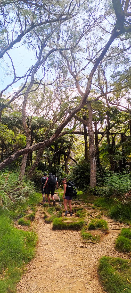 Allibert Trekking tweet media