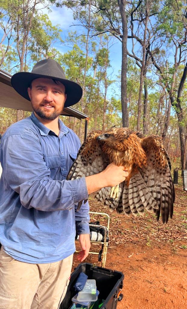 And thats a wrap for PhD fieldwork! Four seasons of surveys, nest monitoring, and tagging birds has come to an end with our last juvenile tagged this morning for our survival study. On to analysing data and writing up findings! Hopefully they can help support this species