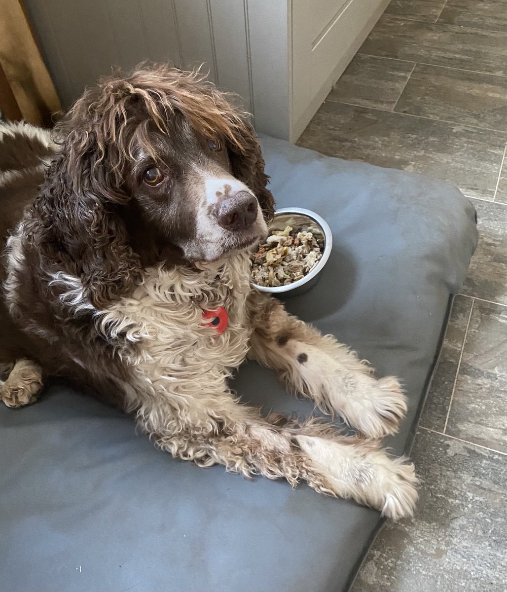 SpanielsSuper's tweet image. Drug smuggling again mum?
Shame on you! 
#NotFooled #Disgrace #Shocking