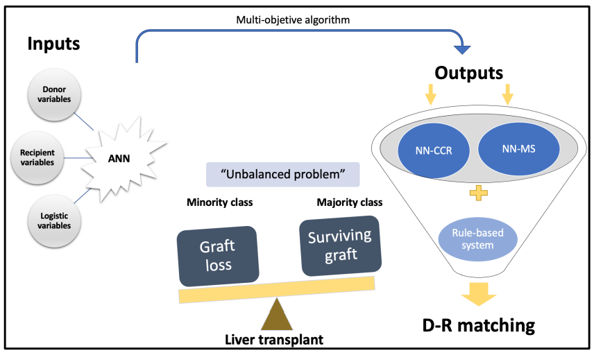 NicholasGilbo's tweet image. #AI  may provide a solution to the unbalanced problem of D-R matching in #LiverTransplantation through different classifiers, such as #artificial_neural_networks or random forests. Read more in this review published in the SI @MdpiMedicina 
🔗mdpi.com/1648-9144/58/1…