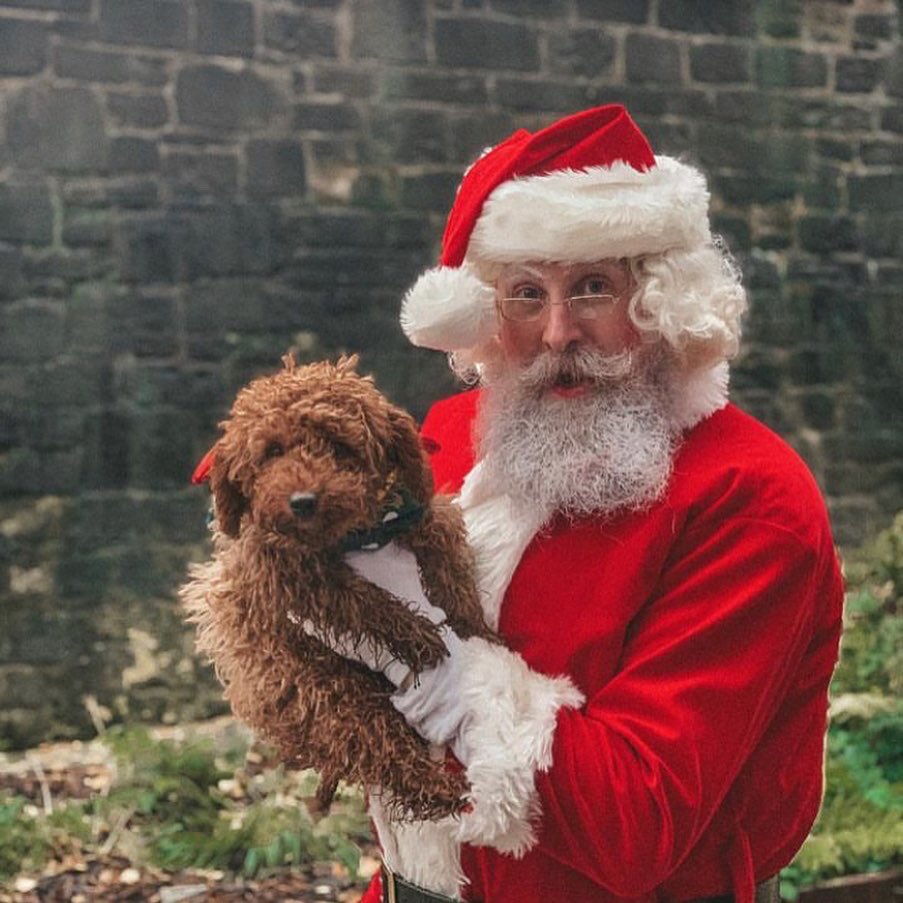 ExPaw_mcr's tweet photo. Santa LOVED celebrating the HOWLIDAYS with us at Santa Paws🐾

We hope you had the most PAWSOME time on Saturday - we definitely did🎅

We have plenty of photos of your furry friends to come! 

📸 teddy.on.adventure
📸 zozothewhippet

#ManchesterEvents #DogFriendlyManchester https://t.co/O2hyDGrgVR