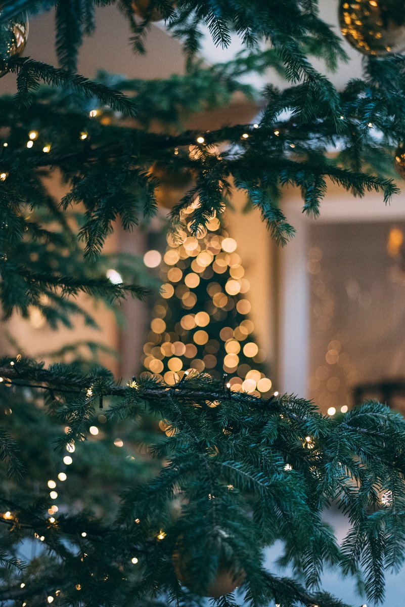 We’ll be singing winter songs and Christmas carols tomorrow at the Old Town Hall in Belsize Park with our neighbours <a href="/WACArts/">Wac Arts</a>.  Won’t you join us?  Free entry - all are welcome! Tuesday 7 pm 
wacarts.co.uk/support-us/win…

📷 unsplash.com/@mougrapher