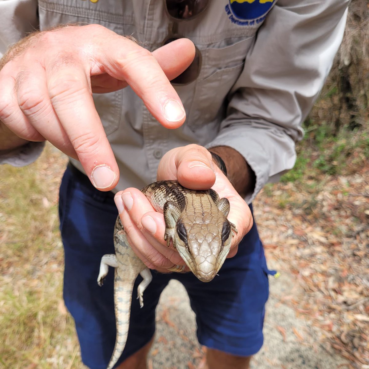 Georges River EEC tweet media