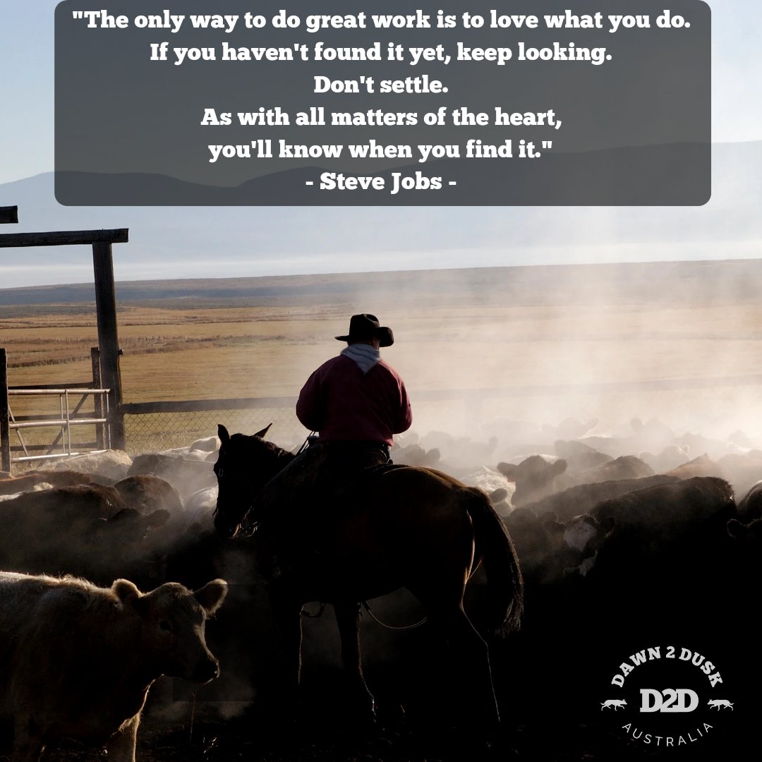 Lloyd Feltham tweet media