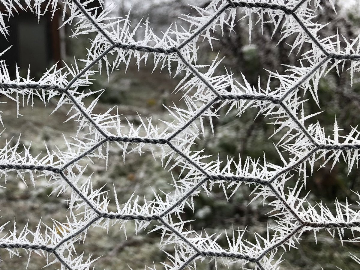 Nab Edge tweet media