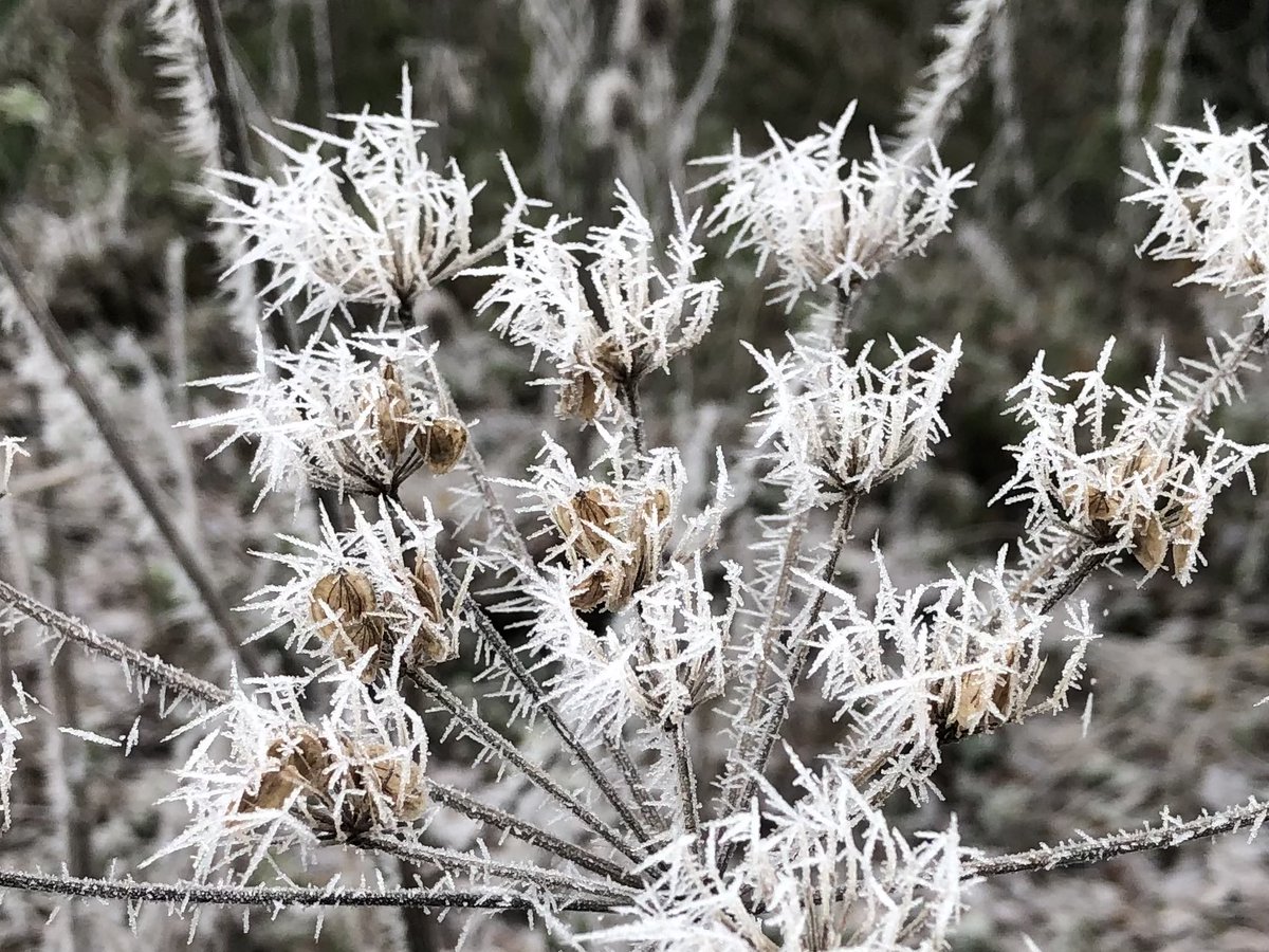 Nab Edge tweet media