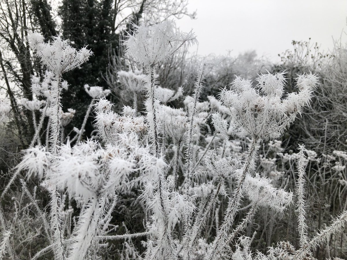 Nab Edge tweet media