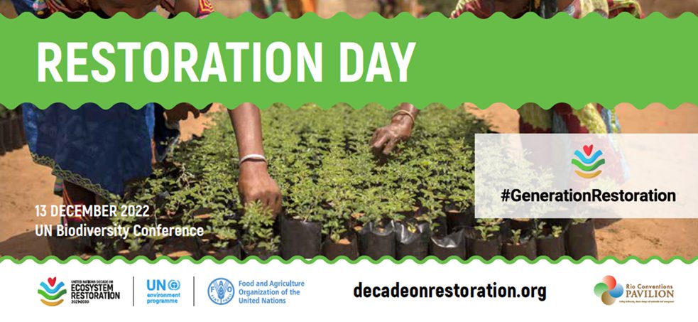 UNCCD's tweet photo. ❗️ SAVE THE DATE❗️ 
  
🌻 RESTORATION DAY @UNBiodiversity #COP15
📅 Tues. 13 December 2022
⏲️ 08:30–20:30 EST
📌 Rio Conventions’ Pavilion, room 220B, Palais des Congrès Montréal, Canada 
 
📺 Watch livestream here: https://t.co/xUoqyu9iUA #UNited4Lannd https://t.co/uNn51t2PAO