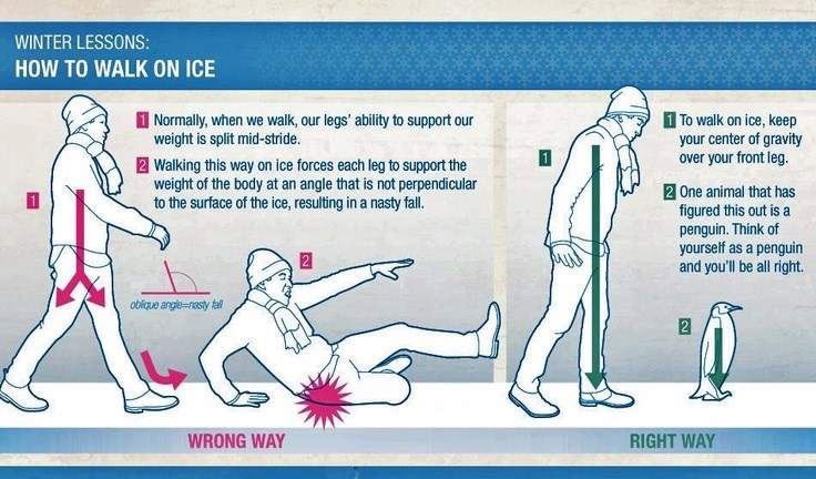 healthfirstost2's tweet photo. Stay Safe in All this snow and ice, take a bit of advice from the penguins. #Snow #Ice #WalkLikeAPenguin #Osteopath #StaySafe https://t.co/fPSlsaHn48
