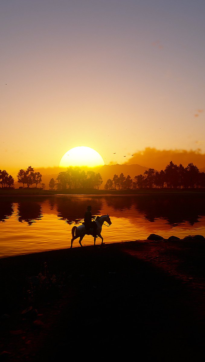 VolaticWolf's tweet photo. Red Dead Redemption 2 https://t.co/zLMsfP03Ub