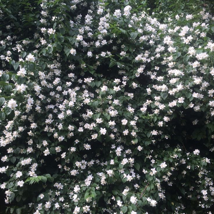 meturr (@m3rghq) on Twitter photo 